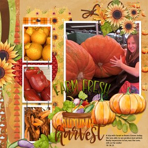 Farm Fresh Harvest