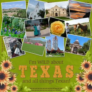 iI'm WILD about TEXAS