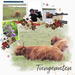 Tiengemeten