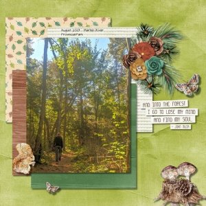 Woodland Winds