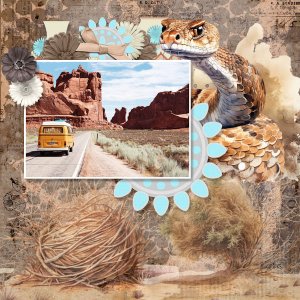 Road Trip