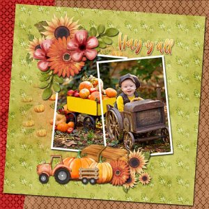 autumn-on-the-farm-scrapboo