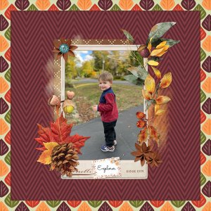 2023-10-19-Autumn-Explorer-WEB