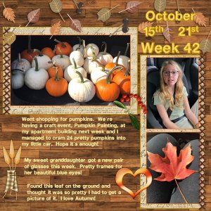 Project 365 Challenge - Week 42
