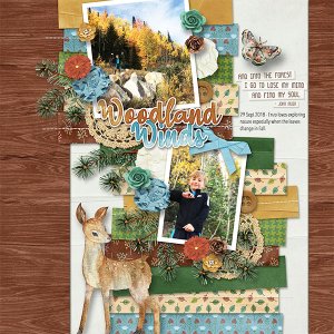 WOODLAND WINDS