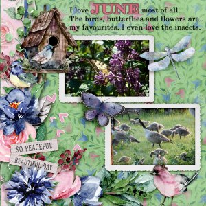 June31