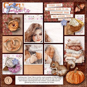 COZY COMFORTS