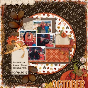 White-Space-vol-87--2-kit-2021-October-NMSS-2017