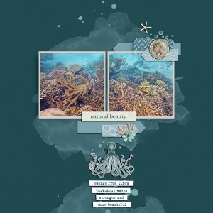 natural beauty under the sea