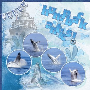 Humpback