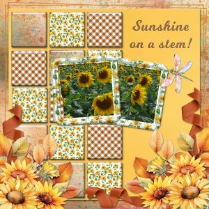 Sunshine on a stem! - 2