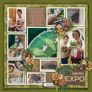 Tarantula Expo