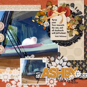 2021-October-bundle-NMSS-Temp--Three-for-me-vol-2--3-2022