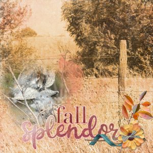 Fall Splendor