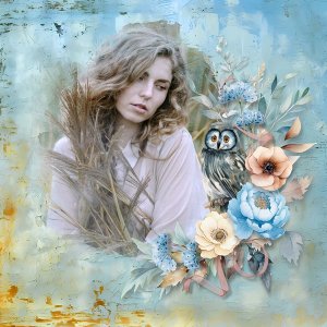 A wise old owl