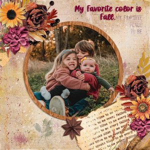 My favorite color is Fall.
