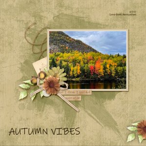 Autumn Vibes