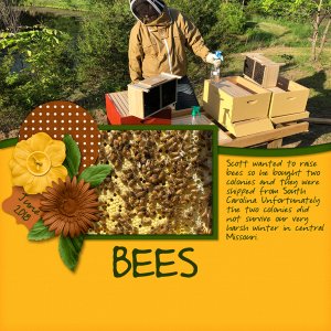 Bees