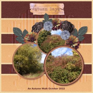 Autumn Days