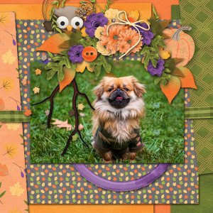 Fall Frolics