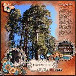 Mariposa Grove