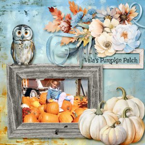Valas Pumpkin Patch
