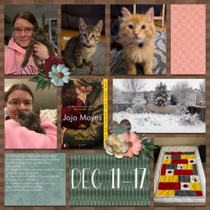 #2023 November Day2Day 2022 Week 51