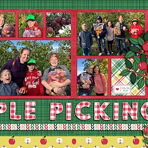 Apple Picking 2019