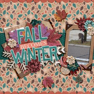 Changing Seasons