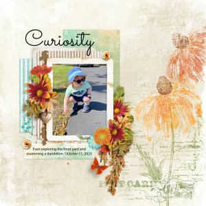 Curiosity