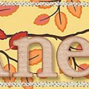 Nov 23 Siggy