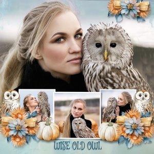 A Wise Old Owl