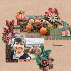 600-lisaminor-harvest-warmth-marlyn-01