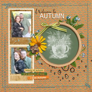 AlexisDesignStudio_Nov2023Challenge
