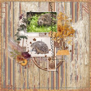 Hedgie