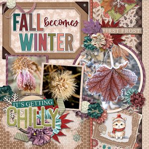 Fall To Winter