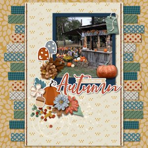 Falling For Autumn