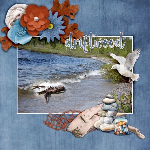 Driftwood3