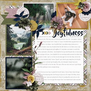 Leads to Joyfulness