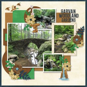 MSG_Best oF Arkansas 1
