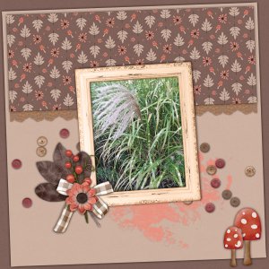 Zebra Grass 2