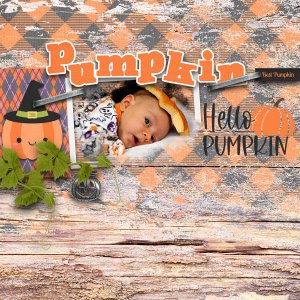 Cute Lil' Pumpkins