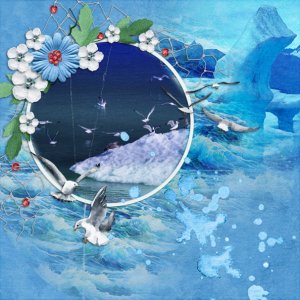 Ice Gulls