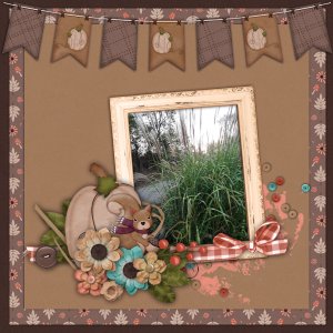 Zebra Grass