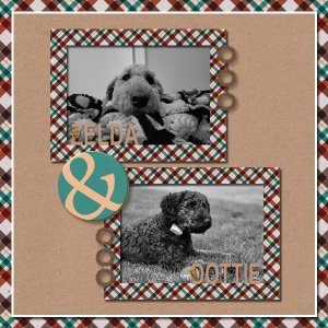 Zelda + Dottie - November 2023