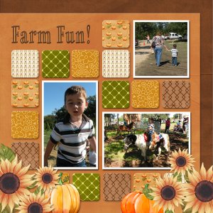 Farm Fun