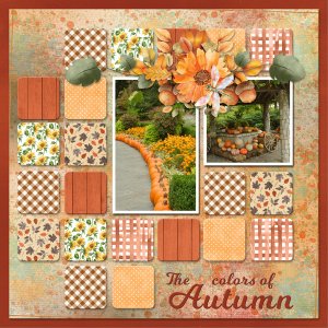 The Colors of Autumn