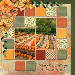 Pumpkin Village - Dallas Arboretum