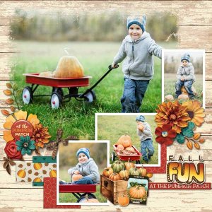 Harvest Hayrides