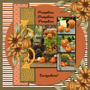 Pumpkins, Pumpkins, Pumpkins - everywhere!
